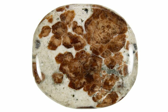 Polished Garnet In Wollastonite Stone - Namibia #343963